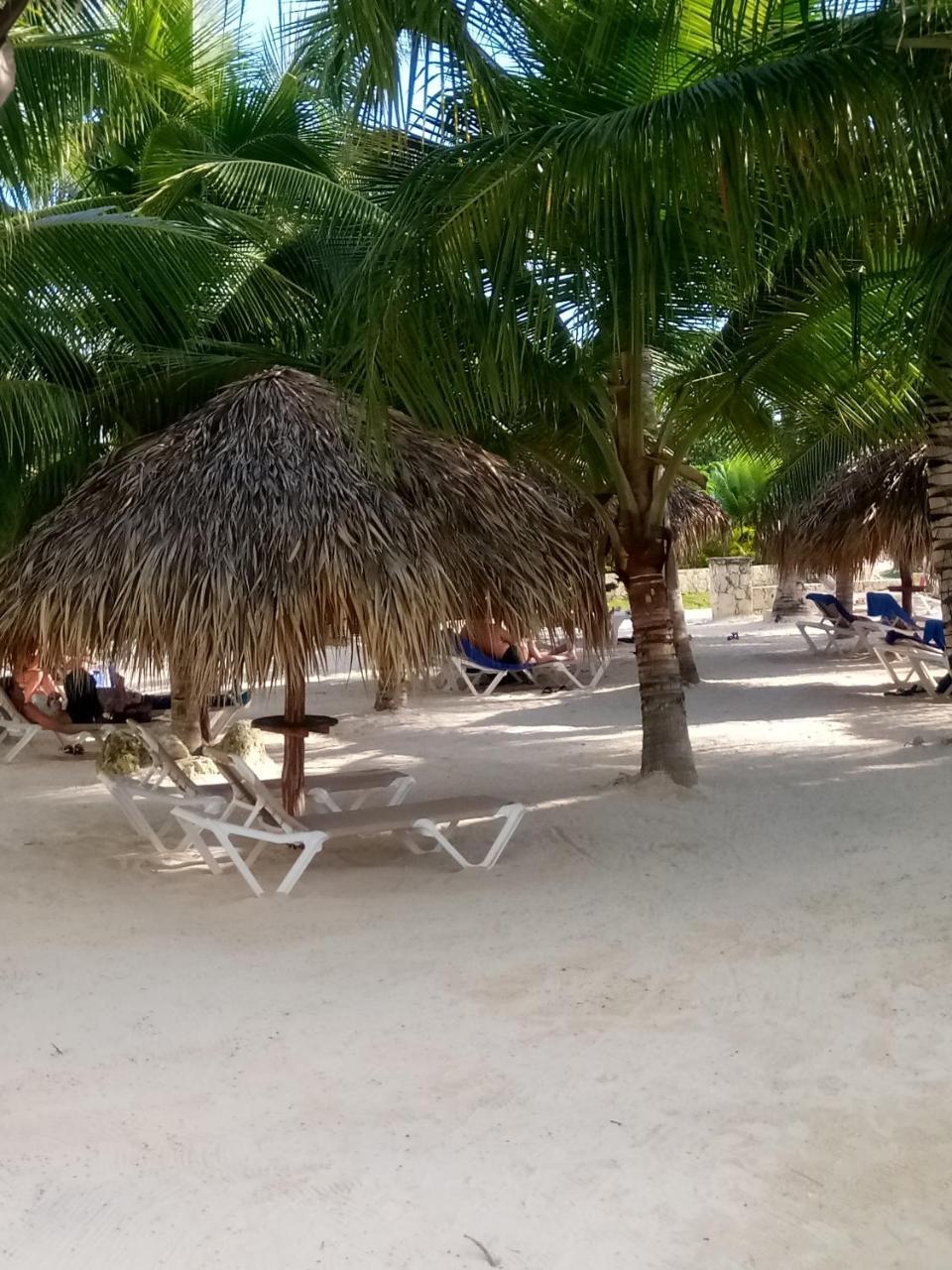 Apartamentos Y Habitaciones Sol Dominicus Solo Adultos Ла-Лагуна Экстерьер фото